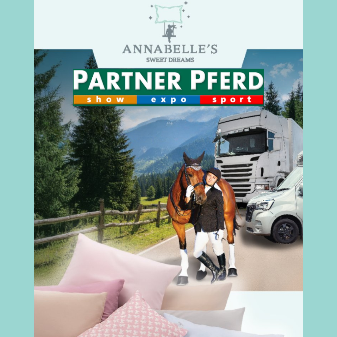 Partner Pferd